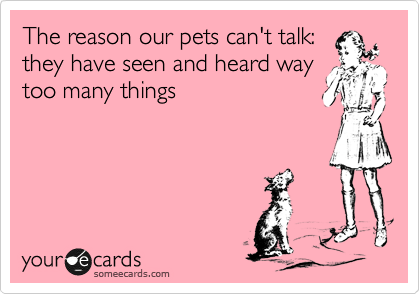 The reason our pets can't talk:
they have seen and heard way
too many things