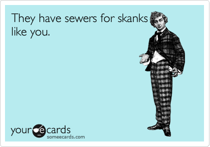 They have sewers for skanks
like you.