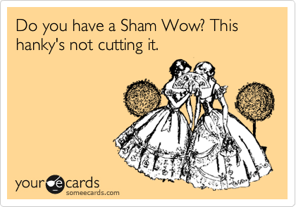 Do you have a Sham Wow? This hanky's not cutting it.