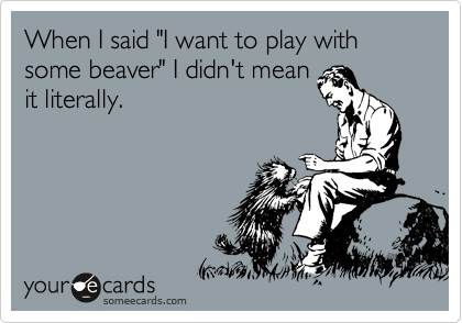When I said "I want to play with some beaver" I didn't mean
it literally.