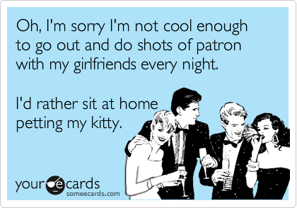 Oh, I'm sorry I'm not cool enough to go out and do shots of patron with my girlfriends every night.   

I'd rather sit at home
petting my kitty. 