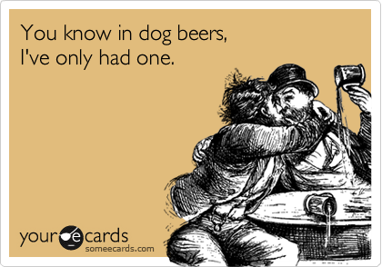 You know in dog beers, 
I've only had one.