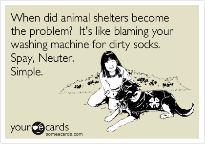 When did animal shelters become the problem?  It's like blaming your washing machine for dirty socks.
Spay, Neuter.
Simple.
