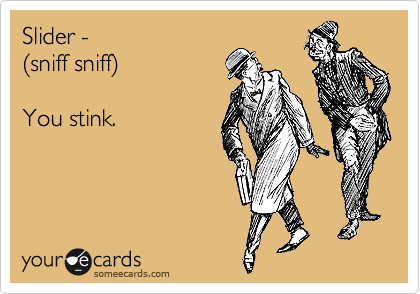 Slider -
%28sniff sniff%29

You stink.