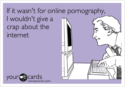 If it wasn't for online pornography,  I wouldn't give a
crap about the
internet