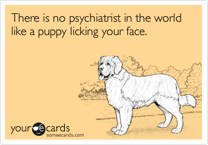 There is no psychiatrist in the world like a puppy licking your face. 