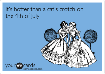It's hotter than a cat's crotch on the 4th of July