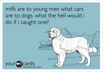 milfs are to young men what cars are to dogs. what the hell would i do if i caught one?