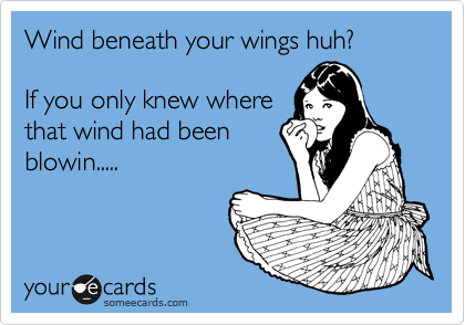 Wind beneath your wings huh?

If you only knew where
that wind had been
blowin.....