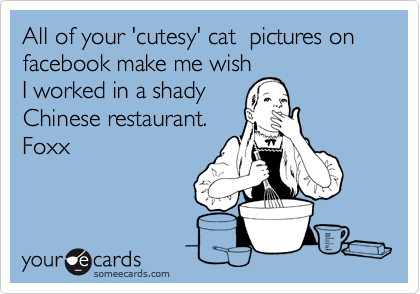 All of your 'cutesy' cat  pictures on facebook make me wish
I worked in a shady
Chinese restaurant.   
Foxx 