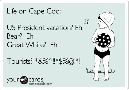 Life on Cape Cod:

US President vacation? Eh.
Bear?  Eh.
Great White?  Eh.

Tourists? *&%^!!*%24%@!*!
