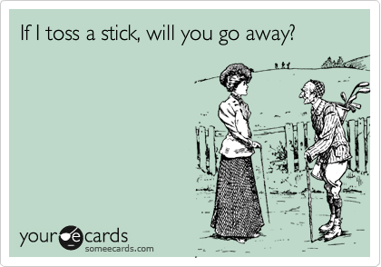 If I toss a stick, will you go away?