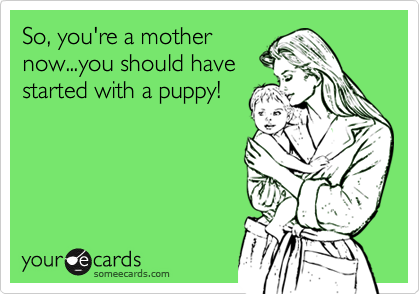 So, you're a mother
now...you should have 
started with a puppy!