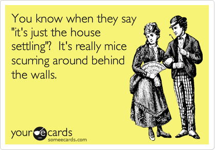 You know when they say
"it's just the house
settling"?  It's really mice
scurring around behind
the walls.