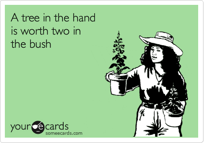 A tree in the hand 
is worth two in 
the bush