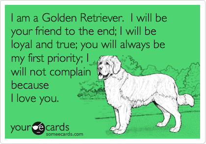 I am a Golden Retriever.  I will be your friend to the end; I will be loyal and true; you will always be my first priority; I
will not complain
because 
I love you.