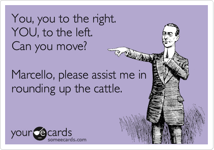 You, you to the right.
YOU, to the left.
Can you move?

Marcello, please assist me in
rounding up the cattle.