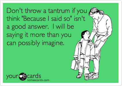 Don't throw a tantrum if you
think "Because I said so" isn't
a good answer.  I will be
saying it more than you
can possibly imagine.