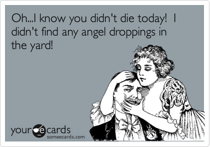 Oh...I know you didn't die today!  I didn't find any angel droppings in the yard!