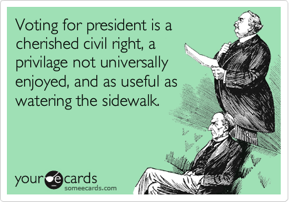 Voting for president is a
cherished civil right, a
privilage not universally
enjoyed, and as useful as
watering the sidewalk.