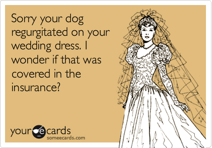 Sorry your dog
regurgitated on your
wedding dress. I
wonder if that was
covered in the
insurance?