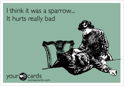I think it was a sparrow... 
It hurts really bad