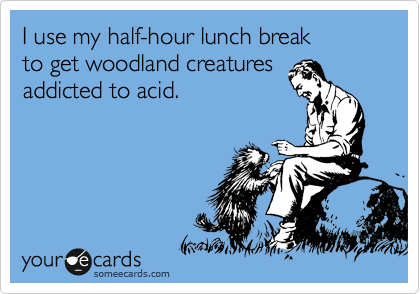 I use my half-hour lunch break
to get woodland creatures
addicted to acid.