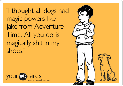 "I thought all dogs had
magic powers like 
Jake from Adventure
Time. All you do is
magically shit in my
shoes."