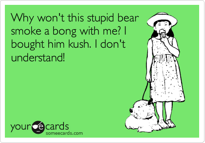 Why won't this stupid bear
smoke a bong with me? I
bought him kush. I don't
understand!