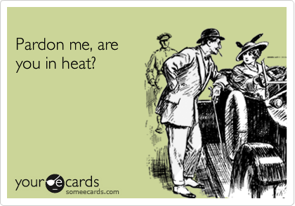 
Pardon me, are 
you in heat?