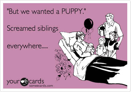 "But we wanted a PUPPY."

Screamed siblings

everywhere.....