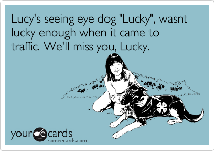 Lucy's seeing eye dog "Lucky", wasnt lucky enough when it came to traffic. We'll miss you, Lucky.