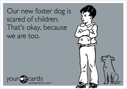 Our new foster dog is
scared of children. 
That's okay, because
we are too.