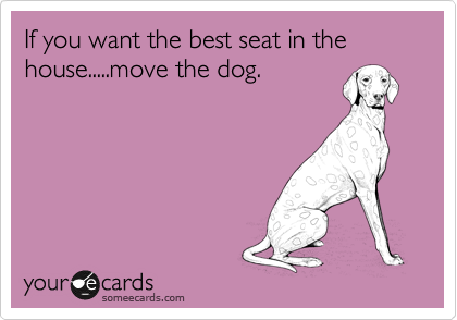 if you want the best seat in the house move the dog