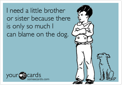 I need a little brother
or sister because there
is only so much I 
can blame on the dog.
