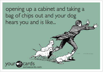 opening up a cabinet and taking a bag of chips out and your dog hears you and is like...