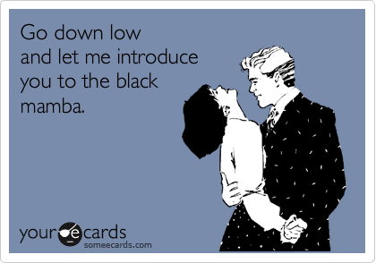Go down low 
and let me introduce 
you to the black
mamba.