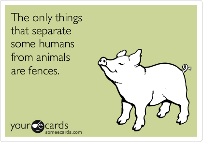 The only things 
that separate
some humans
from animals 
are fences. 
