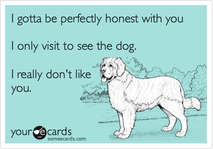 I gotta be perfectly honest with you
 
I only visit to see the dog.  

I really don't like
you.