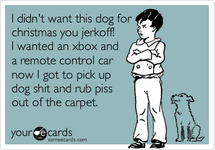 I didn't want this dog for 
christmas you jerkoff!
I wanted an xbox and
a remote control car
now I got to pick up
dog shit and rub piss
out of the carpet.
