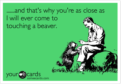 .......and that's why you're as close as I will ever come to
touching a beaver.