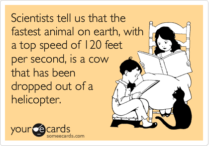 Scientists tell us that the
fastest animal on earth, with
a top speed of 120 feet
per second, is a cow
that has been
dropped out of a
helicopter.