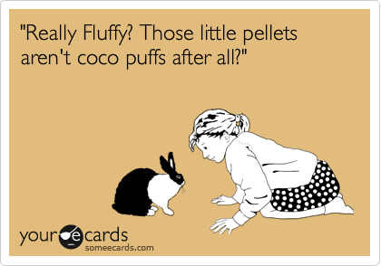 "Really Fluffy? Those little pellets aren't coco puffs after all?"