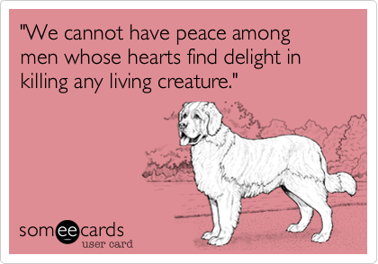 "We cannot have peace among men whose hearts find delight in killing any living creature." 