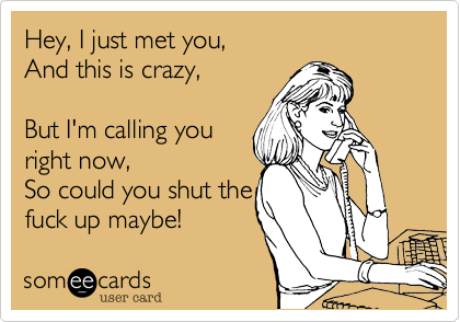 Hey, I just met you, 
And this is crazy,

But I'm calling you
right now,
So could you shut the
fuck up maybe! 