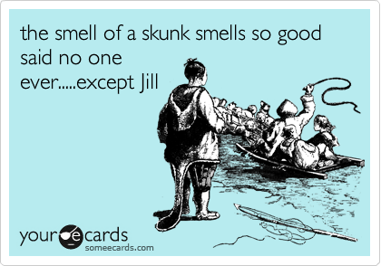 the smell of a skunk smells so good said no one
ever.....except Jill