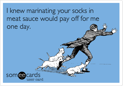 I knew marinating your socks in meat sauce would pay off for me one day.