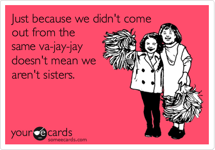 Just because we didn't come
out from the
same va-jay-jay
doesn't mean we
aren't sisters. 