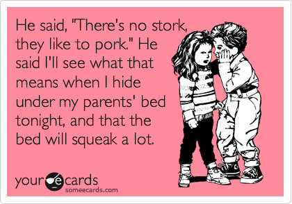 He said, "There's no stork,
they like to pork." He
said I'll see what that
means when I hide
under my parents' bed
tonight, and that the
bed will squeak a lot.