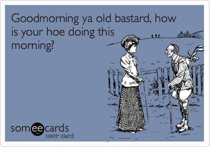 Goodmorning ya old bastard, how is your hoe doing this
morning?